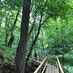 Manor Unique 公寓