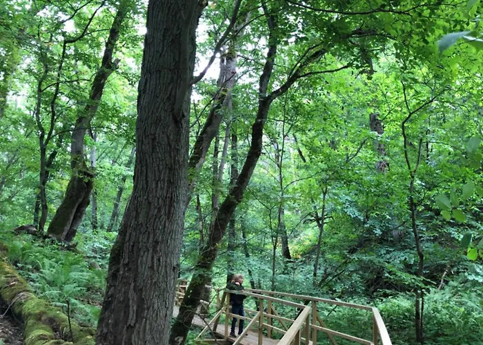 Manor Unique Apartamento